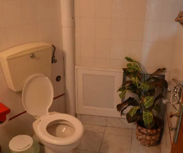 In The Center Of F Appartement *